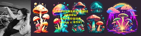 Альфа ПВП Гусев