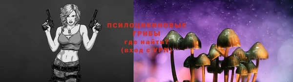 меф Гусь-Хрустальный