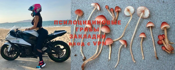 Альфа ПВП Гусев