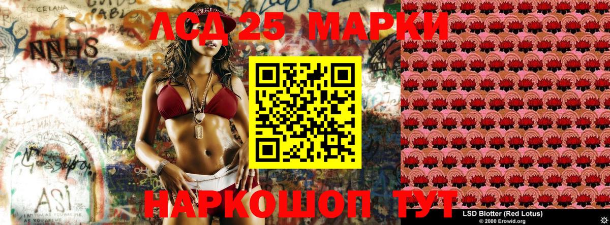 купить наркотики сайты  Вход с VPN  Мончегорск  Наркотические марки 1,8мг 