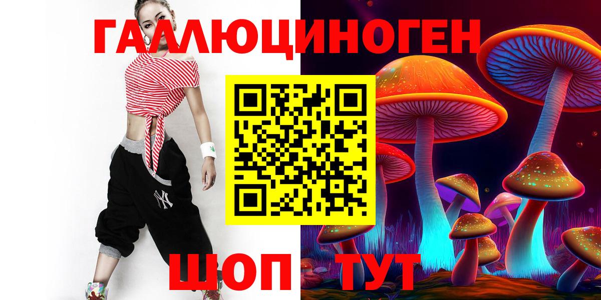 Мончегорск  Псилоцибиновые грибы прущие грибы  Вход с VPN 