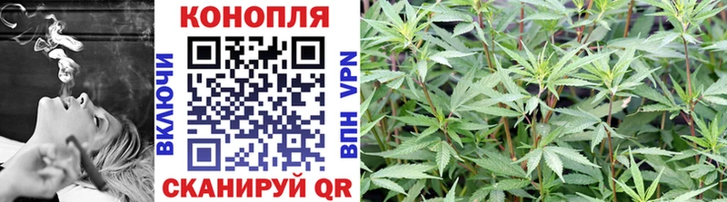 Марихуана конопля Мончегорск