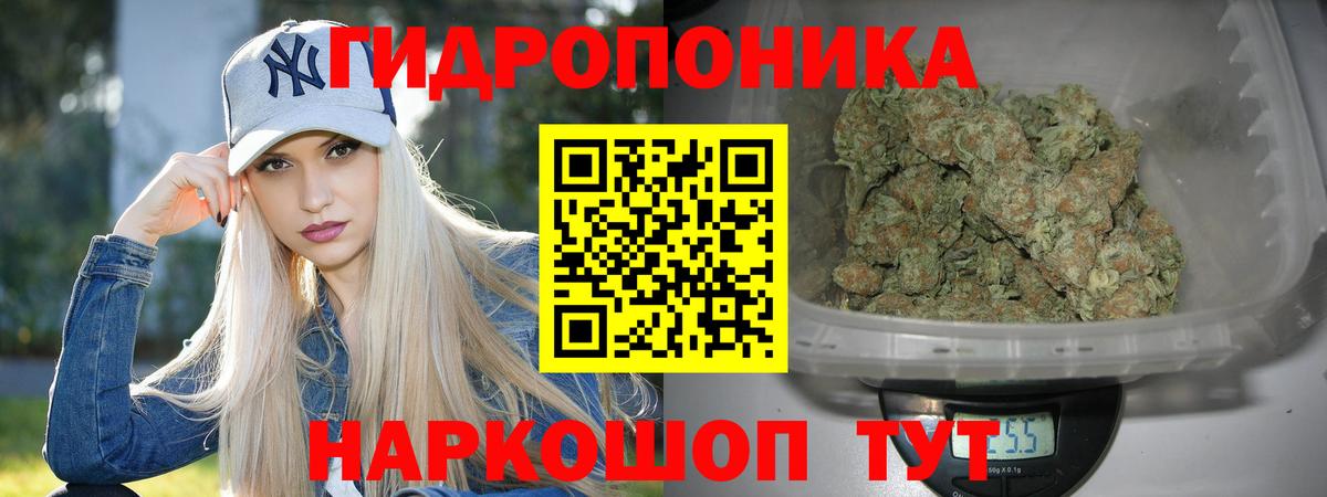 Бошки марихуана Bruce Banner Мончегорск